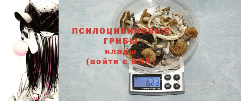 Псилоцибиновые грибы MAGIC MUSHROOMS  omg ссылка  Бутурлиновка 